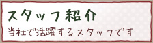 スタッフ紹介